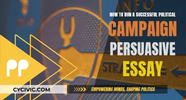 The Art of Persuasion: Political Campaign Strategies