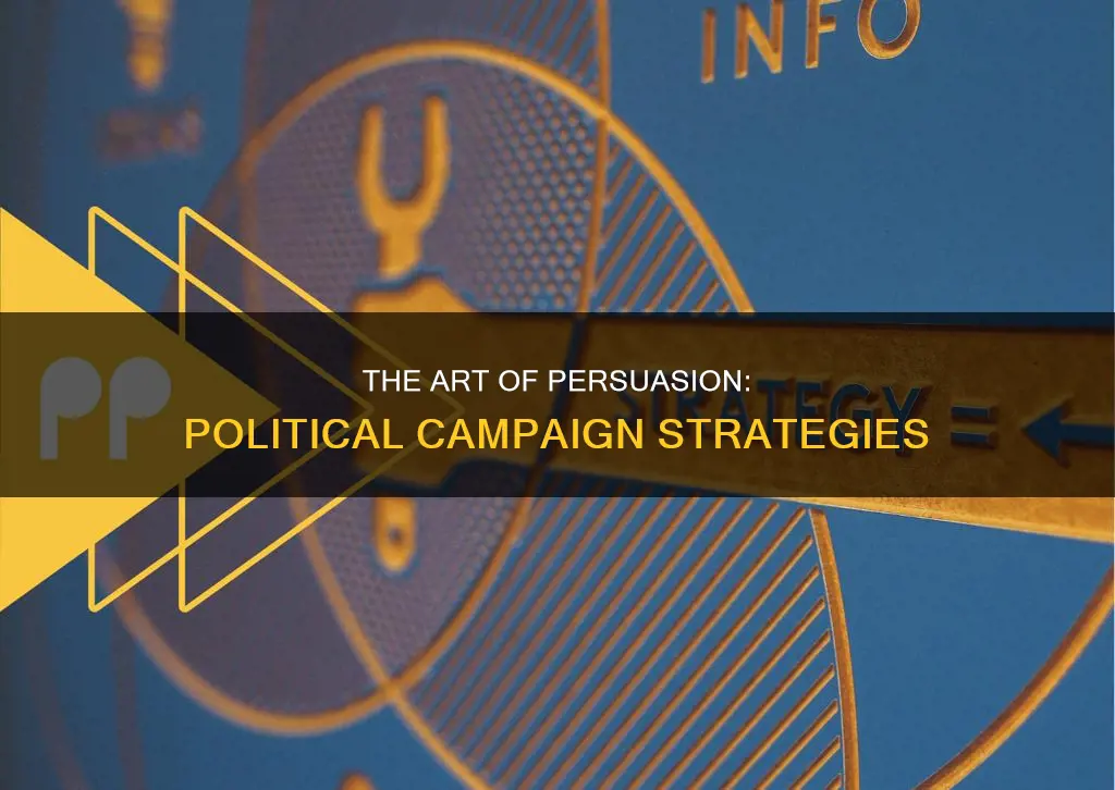 how to run a successful political campaign persuasive essay