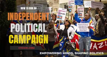 Running an Independent Political Campaign: Strategies for Success