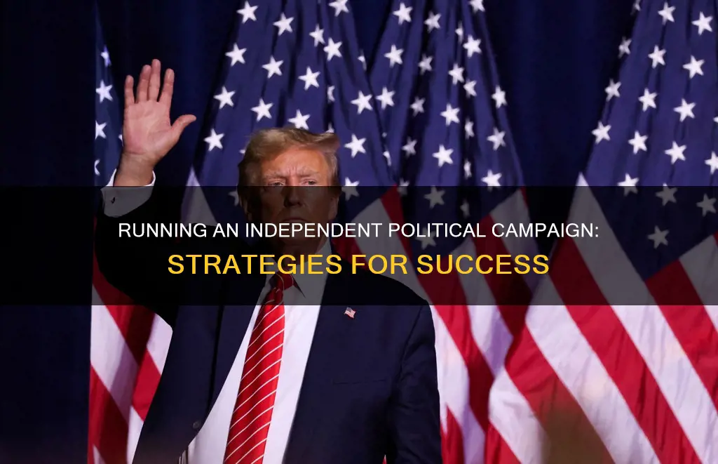 how to run an independent political campaign