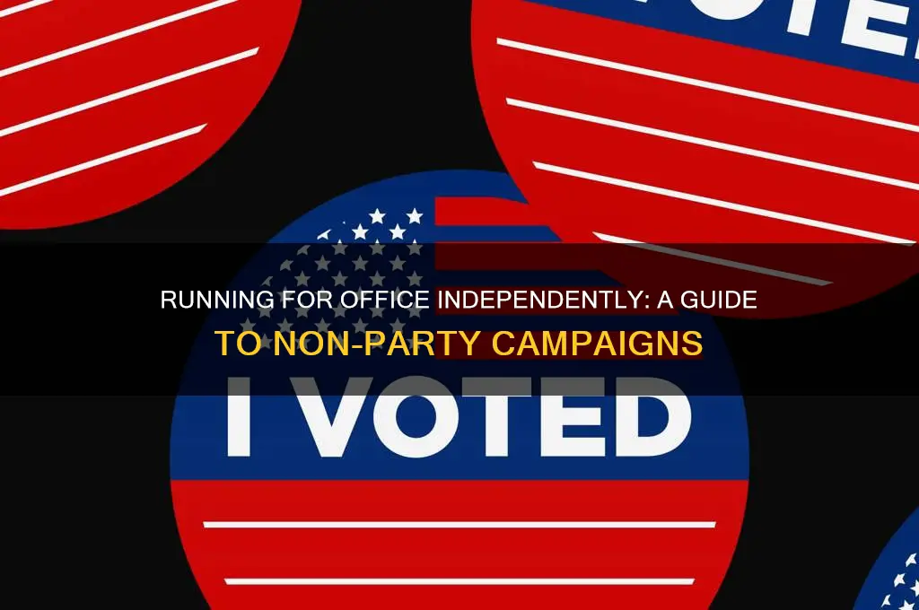 how to run for office non political party