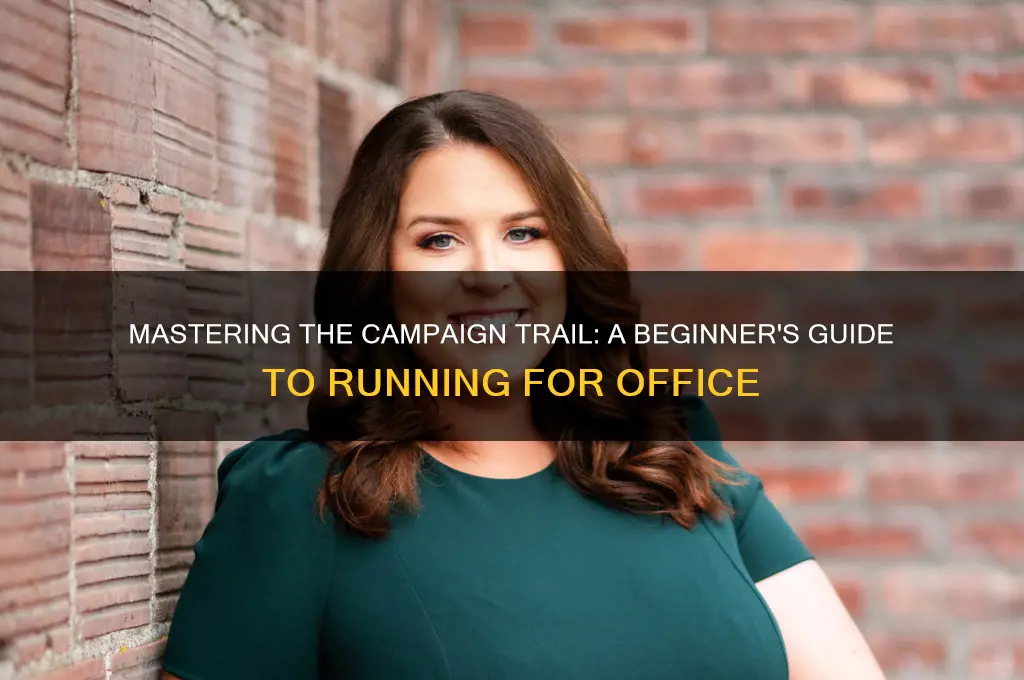 how to run for political