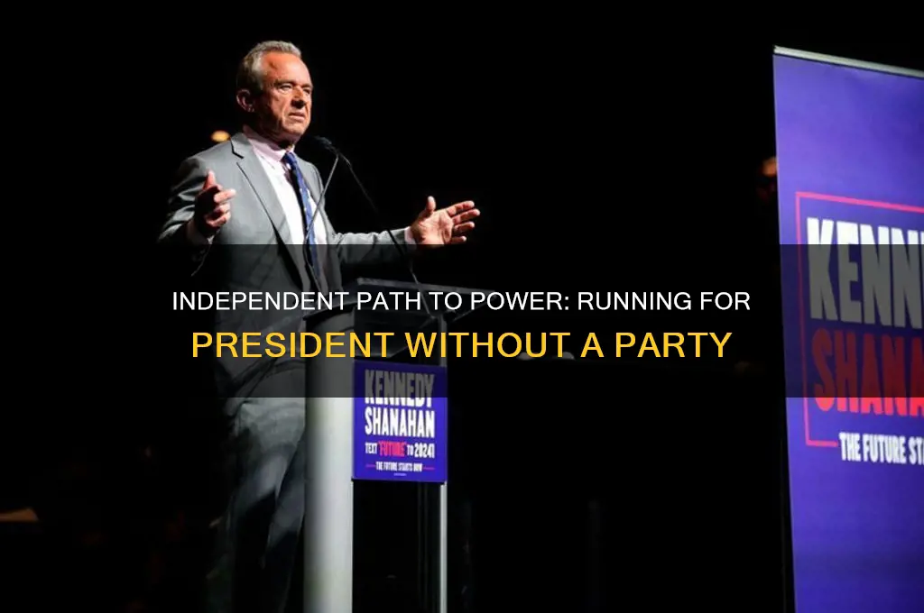 how to run for president without a political party