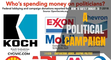 Donating to Political Campaigns: Safely Supporting Your Candidates