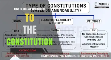 Selling Constitutional Amendments: Strategies for Success