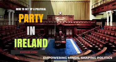 A Step-by-Step Guide to Establishing Your Political Party in Ireland