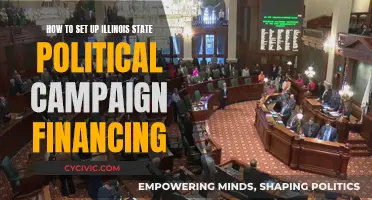 Illinois Campaign Financing: A Step-by-Step Guide