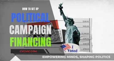 Political Campaign Financing: Setting Up for Success