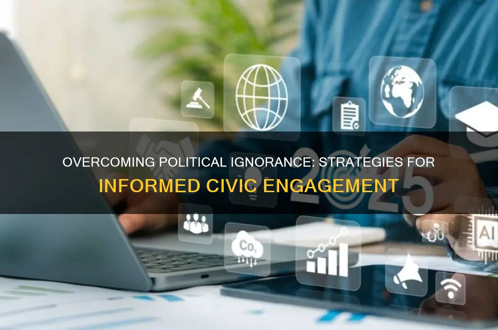 how to solve political ignorance