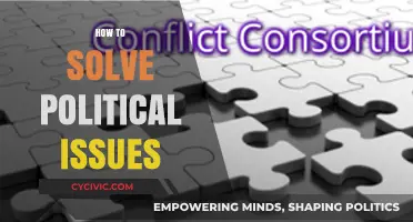 Bridging Divides: Effective Strategies to Resolve Complex Political Issues