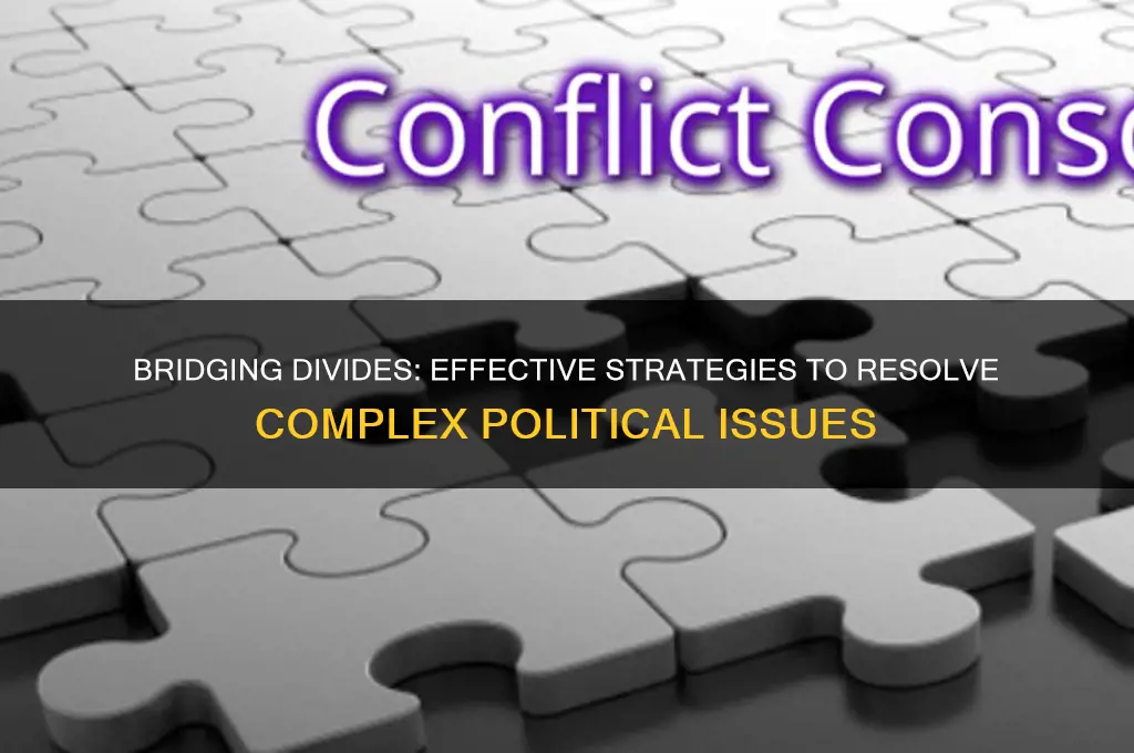 how to solve political issues