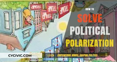 Bridging the Divide: Strategies to Overcome Political Polarization