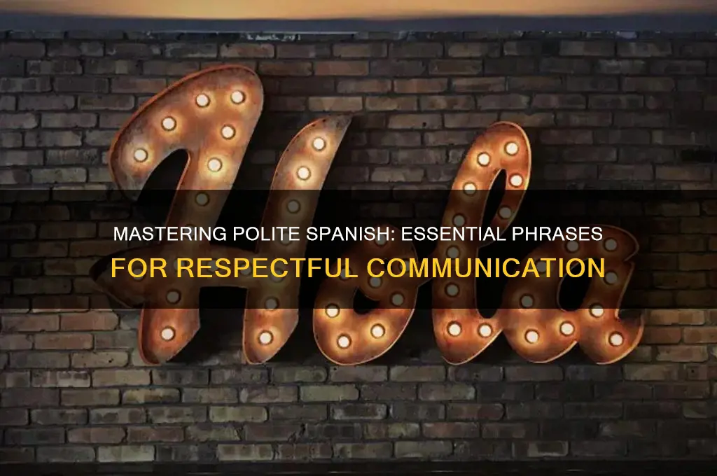 how to speak polite spanish