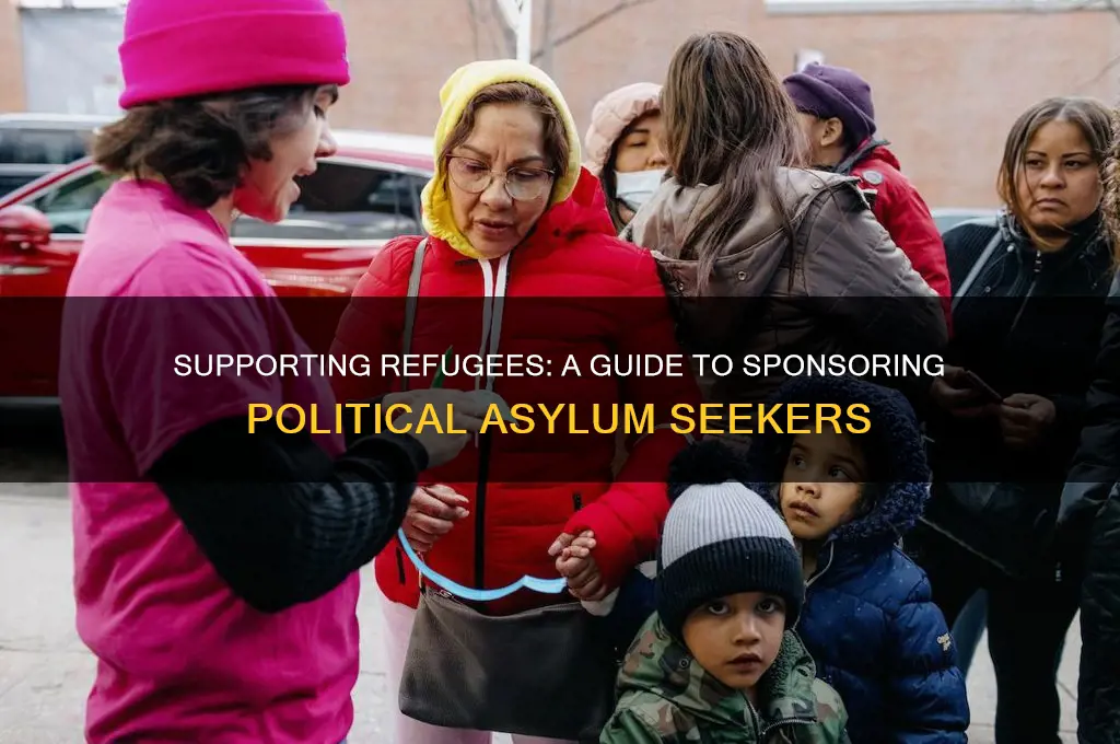 how to sponsor political asylum