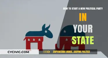 Launching a Political Party: A Step-by-Step State Guide