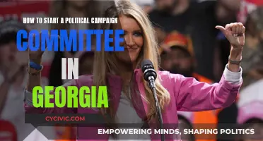 Launching a Political Campaign Committee in Georgia: Where to Start?