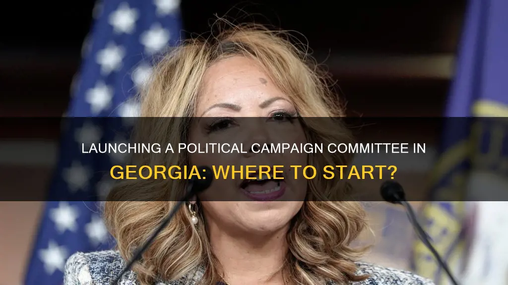 how to start a political campaign committee in georgia