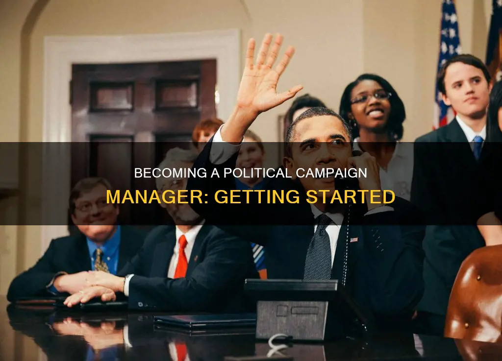 how to start a political campaign manager