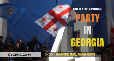 Launching a Political Party in Georgia: A Step-by-Step Guide
