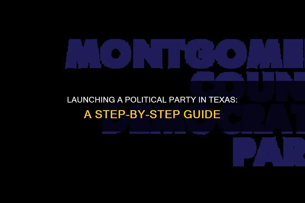 how to start a political party in texas