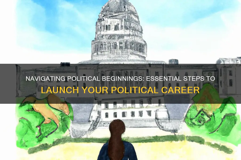 how to start in politics