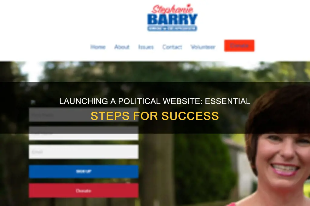 how to start political website