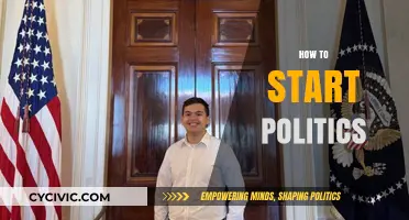 Launch Your Political Journey: Essential Steps to Begin in Politics