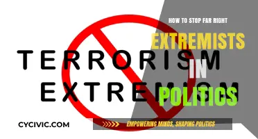 Combating Far-Right Extremism in Politics: Strategies for Change