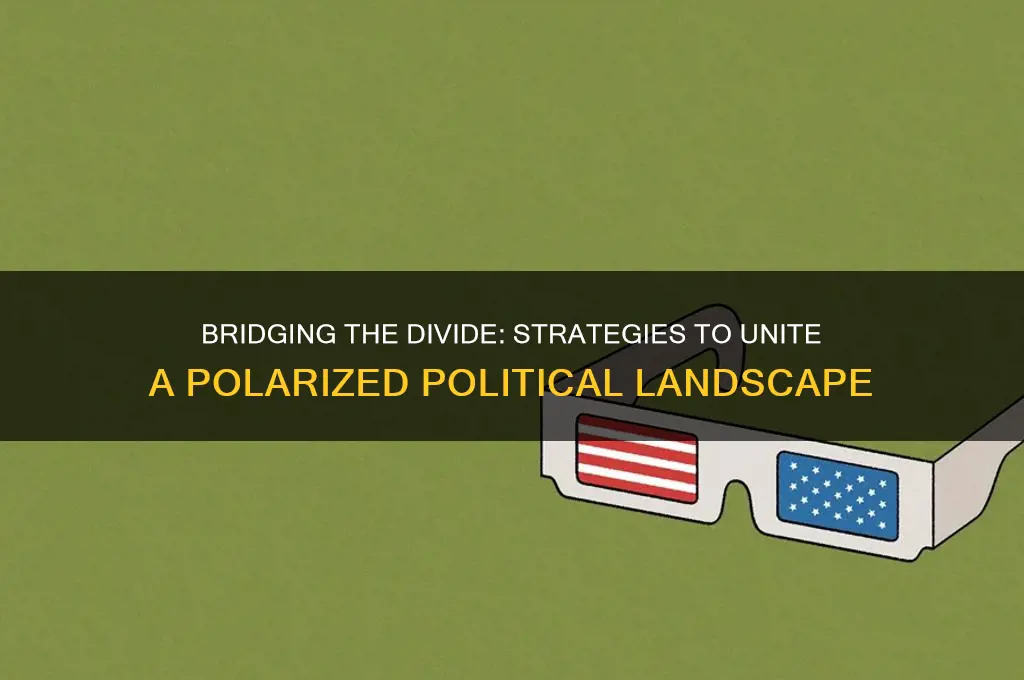 how to stop political division