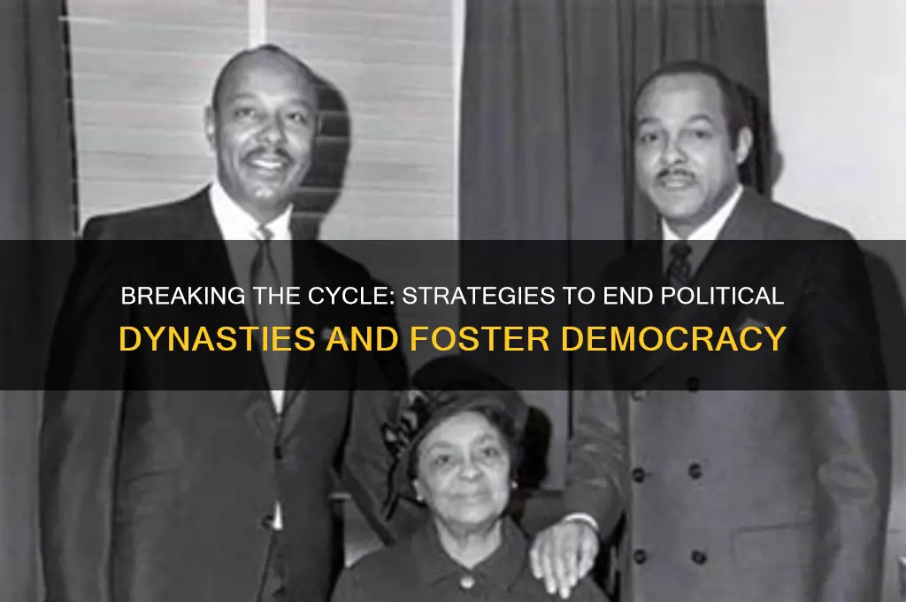 how to stop political dynasty