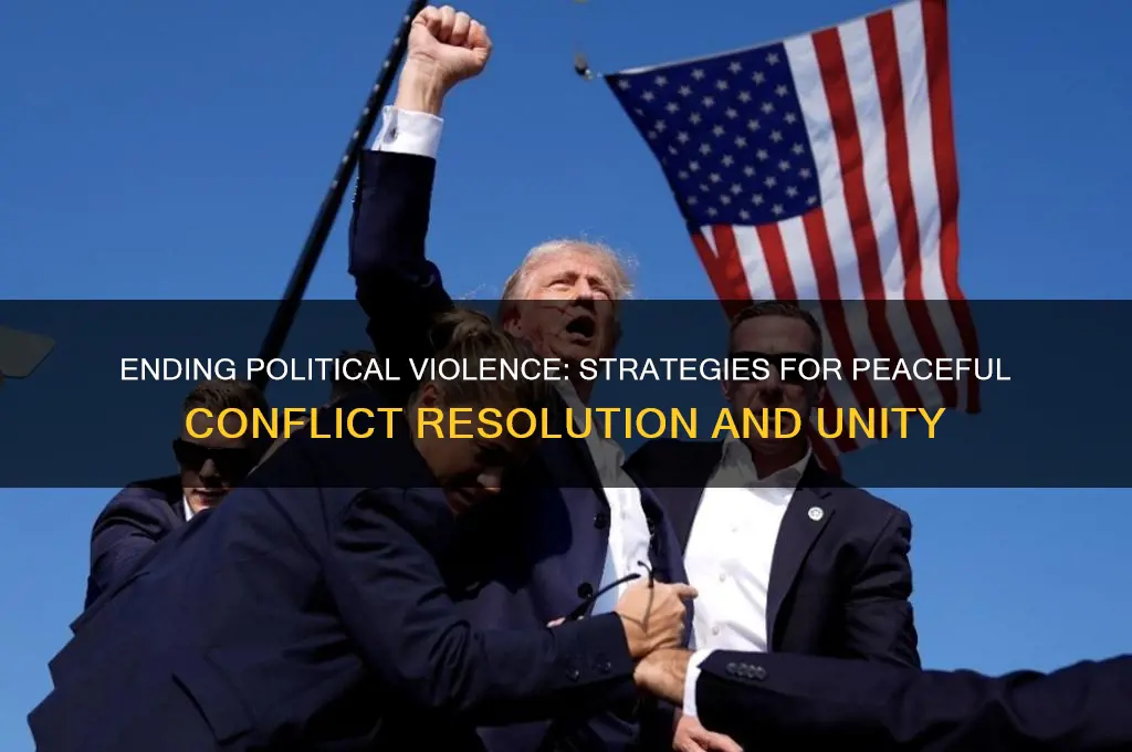 how to stop political violence