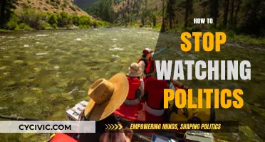 Unplug and Reclaim Peace: A Guide to Escaping Political Overload