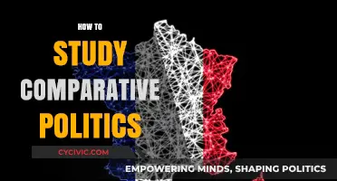 Mastering Comparative Politics: Effective Strategies for Analyzing Global Political Systems