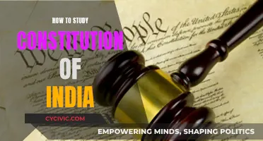 Strategies for Studying India's Constitution