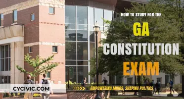 Strategies to Ace the Georgia Constitution Exam