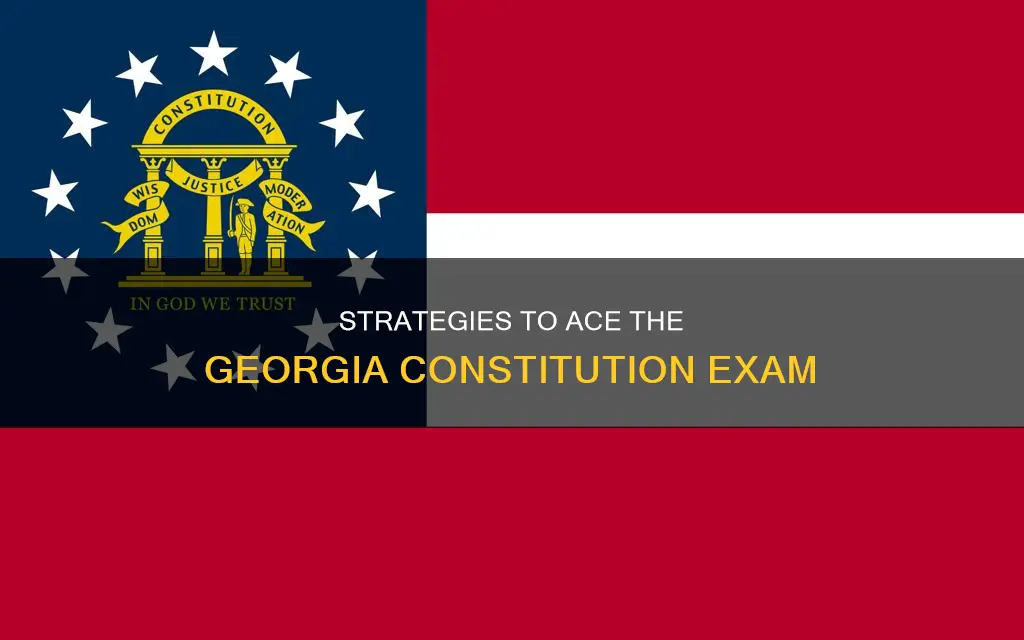 how to study for the ga constitution exam