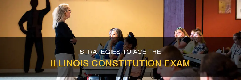how to study for the illinois constitution test