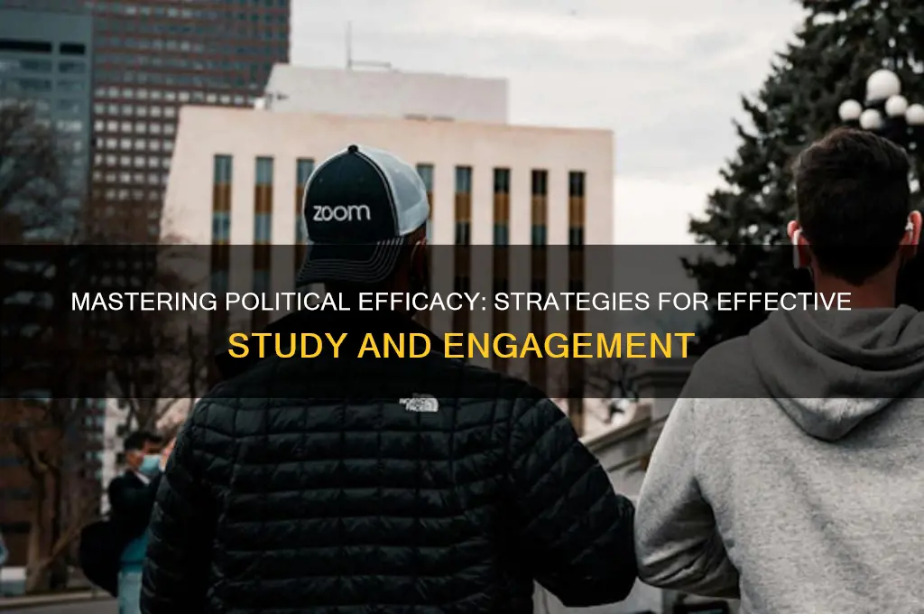 how to study political efficacy