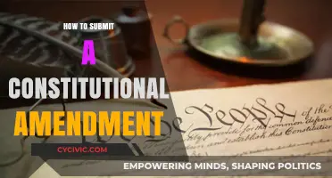 The Process of Proposing Constitutional Amendments