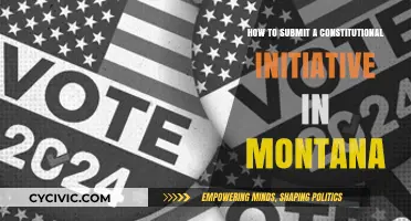 Montana Constitutional Initiative: Guide to Submitting