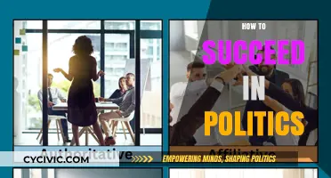 Mastering Political Success: Strategies for Influence and Leadership