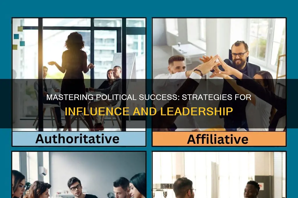 how to succeed in politics