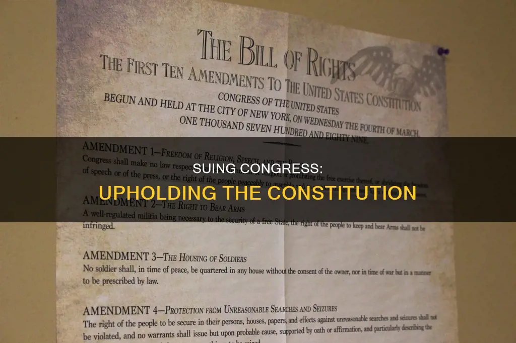 how to sue congress for not upholding the constitution