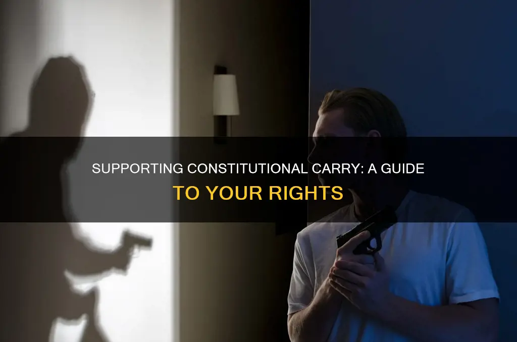 how to support constitution al carry