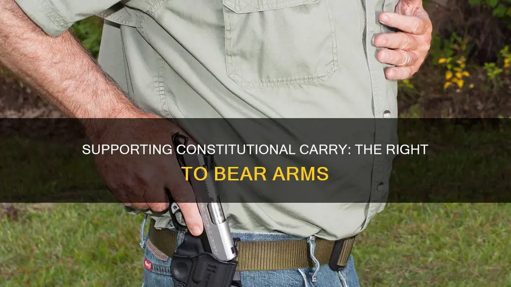 how to support constitutional carry