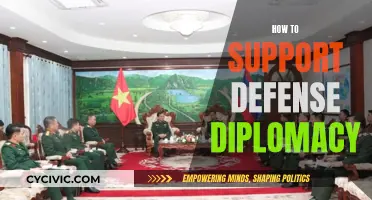 Diplomacy's Power: Strategies for Supporting Defense Diplomacy