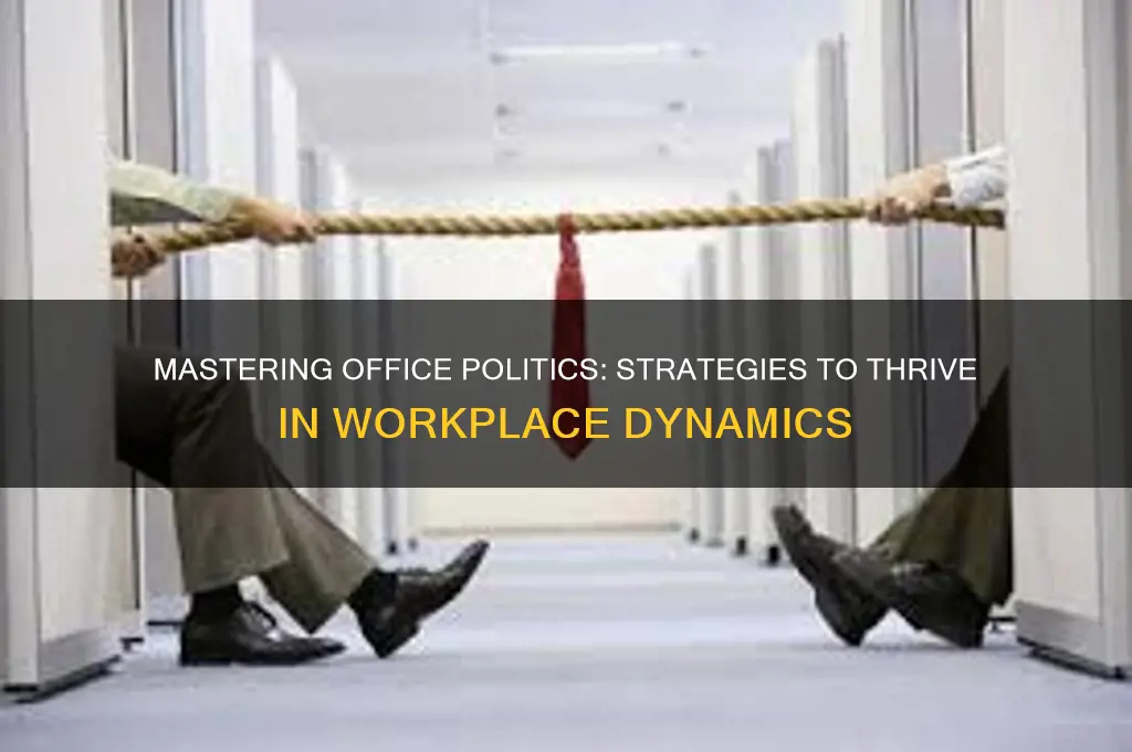 how to survive office politics