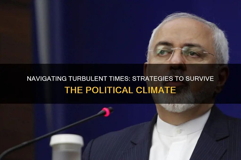 how to survive political climate