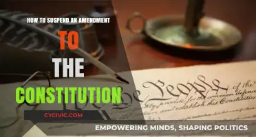 Amending the Constitution: Suspension Strategies