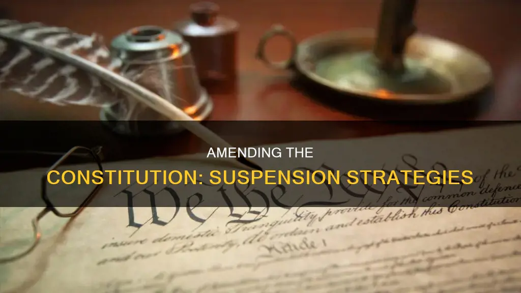 how to suspend an amendment to the constitution